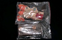 藏品(赤珊瑚解剖模型)的圖片